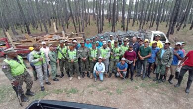 Photo of Medio Ambiente interviene proyecto forestal Sabana Clara, Dajabón