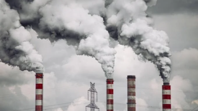 Photo of La contaminación causó nueve millones de muertes en el mundo, según estudio