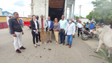 Photo of Consulado Dominicano y Gobernación entregan reses recuperadas en territorio Haitíano