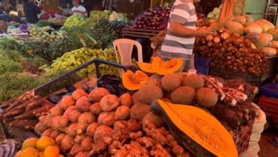 Photo of «La yuca está más cara que nunca», comerciantes de Santiago se quejan de alza en precio canasta familiar