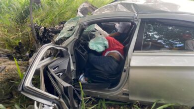 Photo of Conductor pierde la vida al impactar su vehículo con mata de javilla en Consuelo