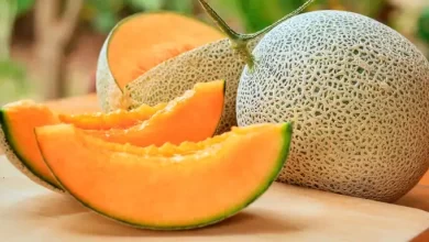 Photo of Consumir melón ayuda a prevenir el envejecimiento prematuro de la piel