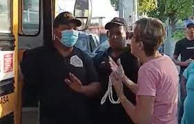 Photo of Senadora por Puerto Plata interviene durante operativo de Migración contra haitianos