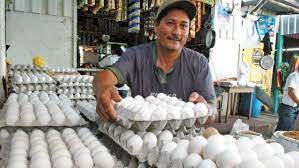 Photo of Productores de huevos y pollo de Moca y Licey temen quebrar por falta de Mercado