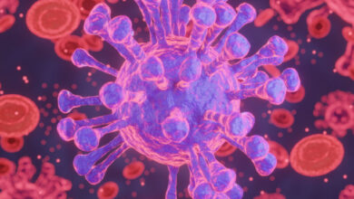 Photo of Identifican cómo las células tumorales pueden desactivar sistema inmunitario