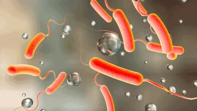 Photo of Unas moléculas protectoras presentes en el moco podrían prevenir el cólera