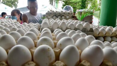 Photo of Gobierno levanta traba a expotación de huevos