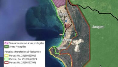 Photo of Coalición ambientalistas cree Pro-Pedernales incluye 6.2 millones m2 áreas protegidas