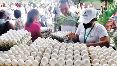Photo of Seguirá detenida la exportación de huevos hacia Haití