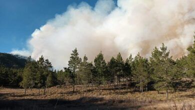 Photo of Incendio forestal recobra fuerza en Valle Nuevo; autoridades trabajan en su extinción