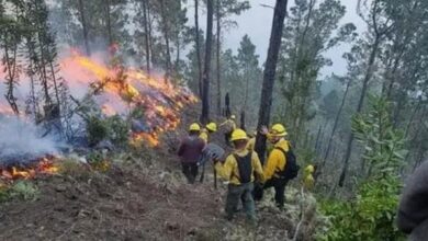 Photo of Once incendios forestales siguen activos